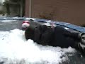 Trampoline falling contest! funny