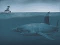 megalodon monster sharks - still alive?
