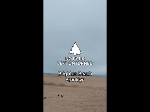 Exploring Brighton Beach – Mieum Media