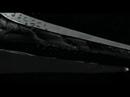 NLF-F�deration