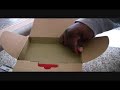 Unboxing Canon HV-20