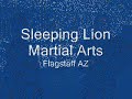 Sleeping Lion Martial Arts Blocking Drill