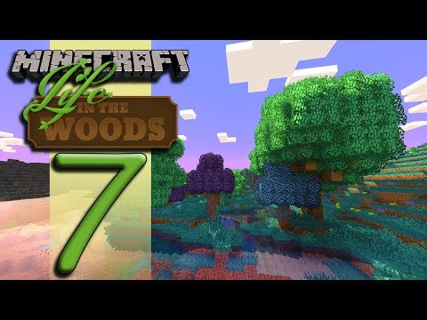 Woods - We build a shed, check our fishtrap and head out to find some wool! The goal of this series is to explore, see all there is to see and build a few things alo...
