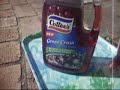 cottees cordial