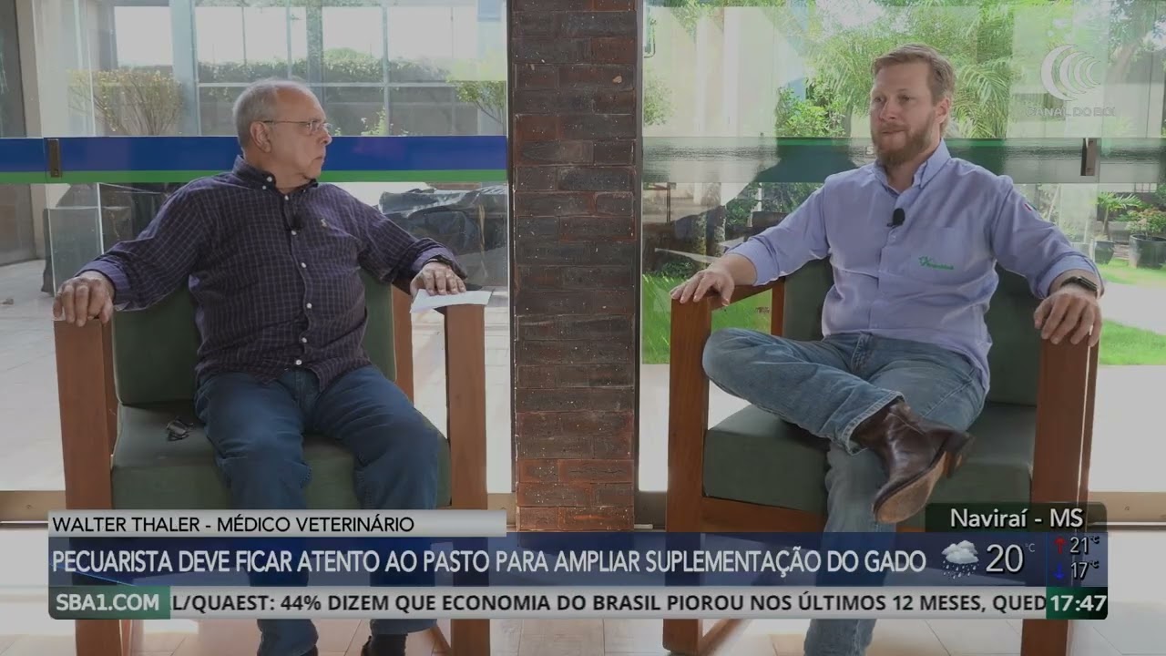 Pecuarista deve ficar atento ao pasto para ampliar suplementação do gado no período seco