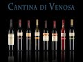 cantina di venosa digano comunication