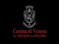 cantina di venosa digano comunication