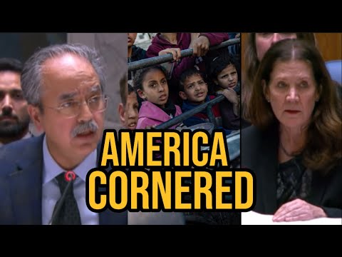 Brave act by Pakistan; calls US veto blocking food for Gaza children ‘moral stain’|Janta Ka Reporter