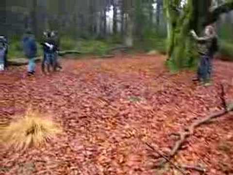 Ardennes 2006/2