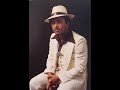 willie tee and the gaturs-concentrate