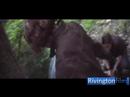 Rivingtonfilm Music Video