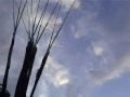 Left Brake Wrapped PPG Powered Paragliding Left Brake Wrapped PPG Powered Paragliding