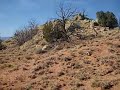Ghost Ranch - Hiking down the Canyon