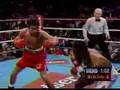 Pernell Whitaker vs. Oscar De la Hoya (Part One)