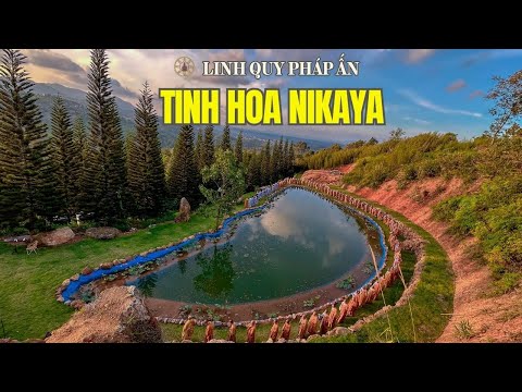 Tinh Hoa NIKAYA - Tôi Là Một Chuyển Động - Tương Ưng Sáu Xứ - Lạy Sám Hối Diệt Ngã *