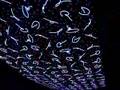 Ingo Maurere @ Cooper Hewitt, NY