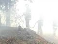 bomberos valparaiso bravo papa