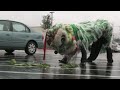 2008-02-16 Lion Dance in Richardson, Texas ?? Part1
