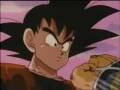 videos de goku contro nappa.mpg.avi