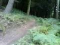 Cooked Furrow Leith Hill Ween MTB singletrack