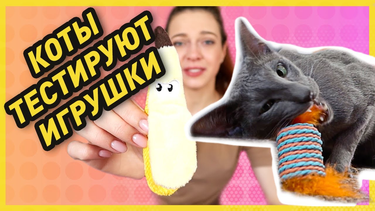 КАК ИГРАТЬ С КОШКОЙ | Тестируем игрушки для кошки из зоомагазина (котики оторвались!)