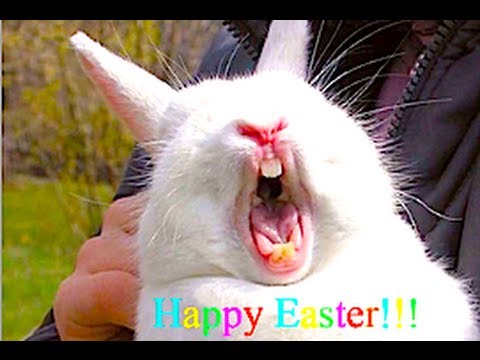 CASEY'S EASTER EGG CONTEST!