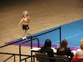 mckinley   gessner