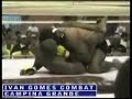 Edson Paredao Vs Almir Trator: FightSurf