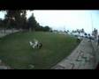 videos de mortal 360 postmo