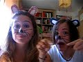 Play hamtaro