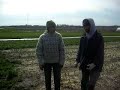 Monoculture vs. Diversity