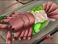 Shaman King Capitulo 8 Audio Latino 1/3 Shaman King Capitulo 8 Audio Latino 1/3