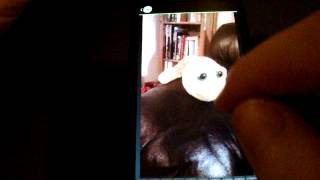 Video review NoSwipeForYou Lt - Photo Lock - 1.0