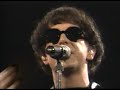 踊る犬動画