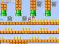 New Super Mario Bros.4?