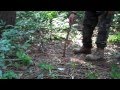 Primitive Trapping