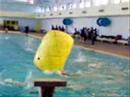 aquathlon villeurbanne 2007