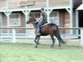 videos de Caiana do Santo Graal 2