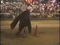 DON POMPONIO 2 MONTERIA DON POMPONIO 2 MONTERIA