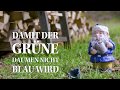 Damit der grüne Daumen nicht blau wird