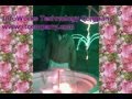 12 rabulawal mirpurkhas fahad ashraf waseem shazad sumar nazim shazaib fasal