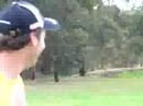 Chasing Kangaroos I