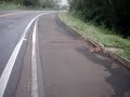 Pedalando pr�ximo a Cantagalo  BR-277