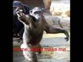 videos de 