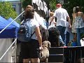 we entered popcorn in the mr. k9 beauty pageant at woofstock 2007. unfortunately he lost to a chinese crested with colored fushia hair and a tutu.