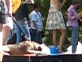 we entered popcorn in the mr. k9 beauty pageant at woofstock 2007. unfortunately he lost to a chinese crested with colored fushia hair and a tutu.
