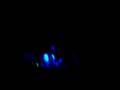 videos de Villalobos, Luciano & Raresh @ Monza Closing Privilege Ibiza