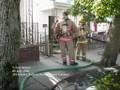 216 South Chestnue Street