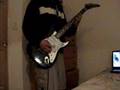 shissou on electric guitar