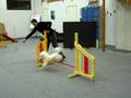 videos de Kosketuskeppi osa 2